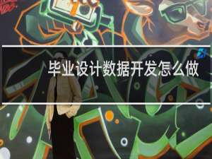 毕业设计数据开发怎么做