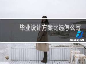 毕业设计方案比选怎么写