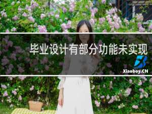 毕业设计有部分功能未实现