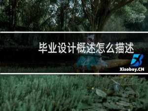 毕业设计概述怎么描述