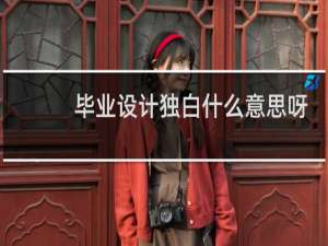毕业设计独白什么意思呀