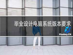 毕业设计电脑系统版本要求