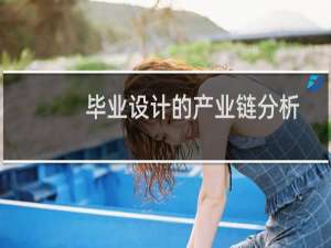 毕业设计的产业链分析