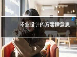 毕业设计的方案啥意思