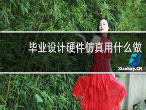 毕业设计硬件仿真用什么做