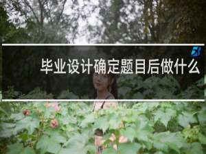 毕业设计确定题目后做什么