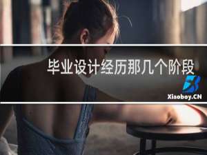 毕业设计经历那几个阶段