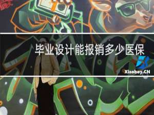 毕业设计能报销多少医保