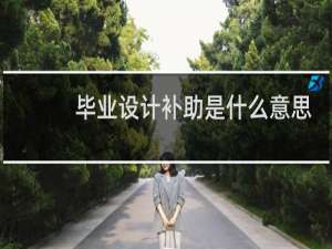 毕业设计补助是什么意思