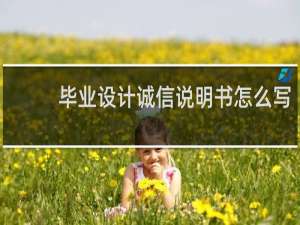 毕业设计诚信说明书怎么写