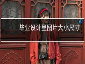 毕业设计里图片大小尺寸