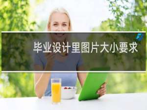 毕业设计里图片大小要求