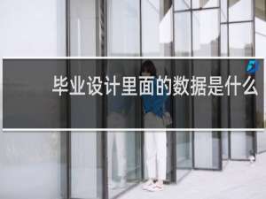 毕业设计里面的数据是什么
