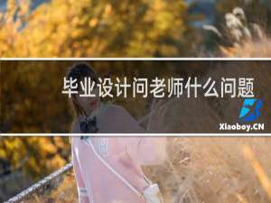 毕业设计问老师什么问题