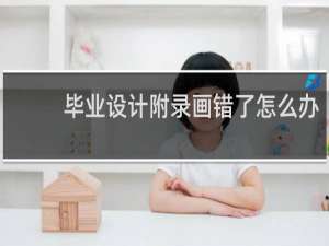 毕业设计附录画错了怎么办