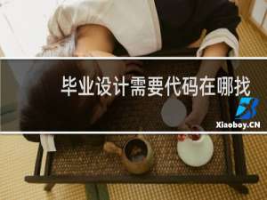 毕业设计需要代码在哪找