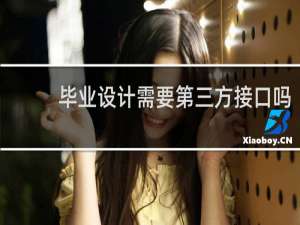 毕业设计需要第三方接口吗