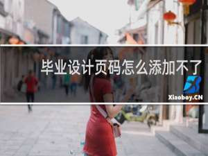 毕业设计页码怎么添加不了