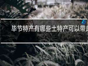 毕节特产有哪些土特产可以带走