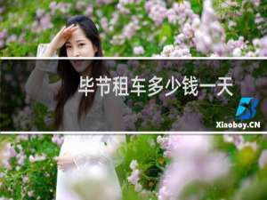 毕节租车多少钱一天