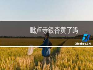 毗卢寺银杏黄了吗