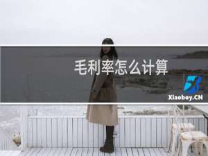 毛利率怎么计算（有哪些公式呢）