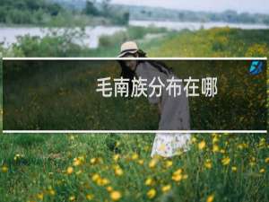毛南族分布在哪