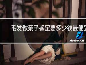 毛发做亲子鉴定要多少钱最便宜