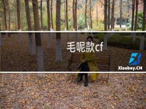 毛呢款cf