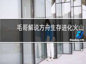 毛哥解说方舟生存进化火山