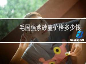毛国强紫砂壶价格多少钱