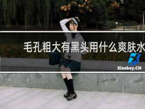毛孔粗大有黑头用什么爽肤水