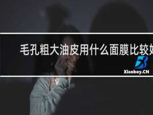 毛孔粗大油皮用什么面膜比较好