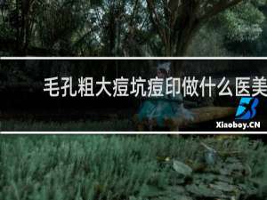 毛孔粗大痘坑痘印做什么医美