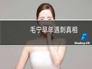 毛宁早年遇刺真相