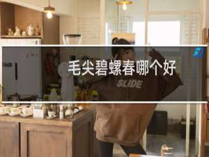 毛尖碧螺春哪个好