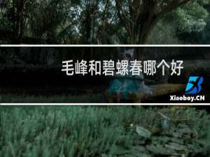 毛峰和碧螺春哪个好