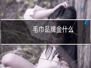 毛巾品牌金什么