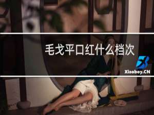 毛戈平口红什么档次