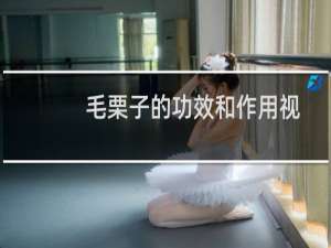 毛栗子的功效和作用视频（毛栗子的功效与作用）