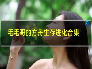 毛毛哥的方舟生存进化合集