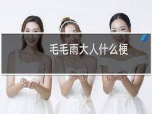 毛毛雨大人什么梗