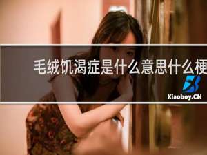 毛绒饥渴症是什么意思什么梗