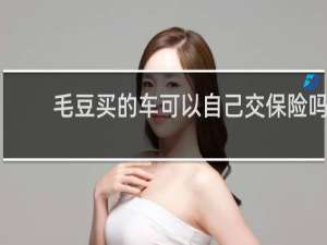 毛豆买的车可以自己交保险吗