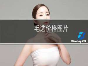 毛选价格图片