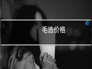 毛选价格