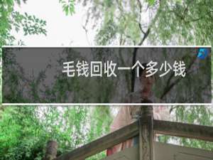 毛钱回收一个多少钱
