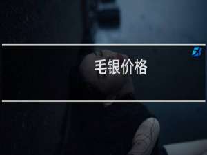 毛银价格