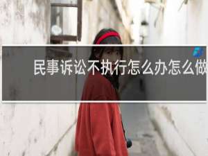 民事诉讼不执行怎么办怎么做