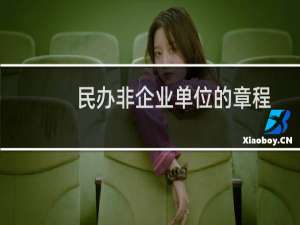 民办非企业单位的章程